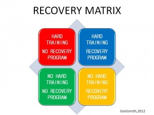 recoverymatrix