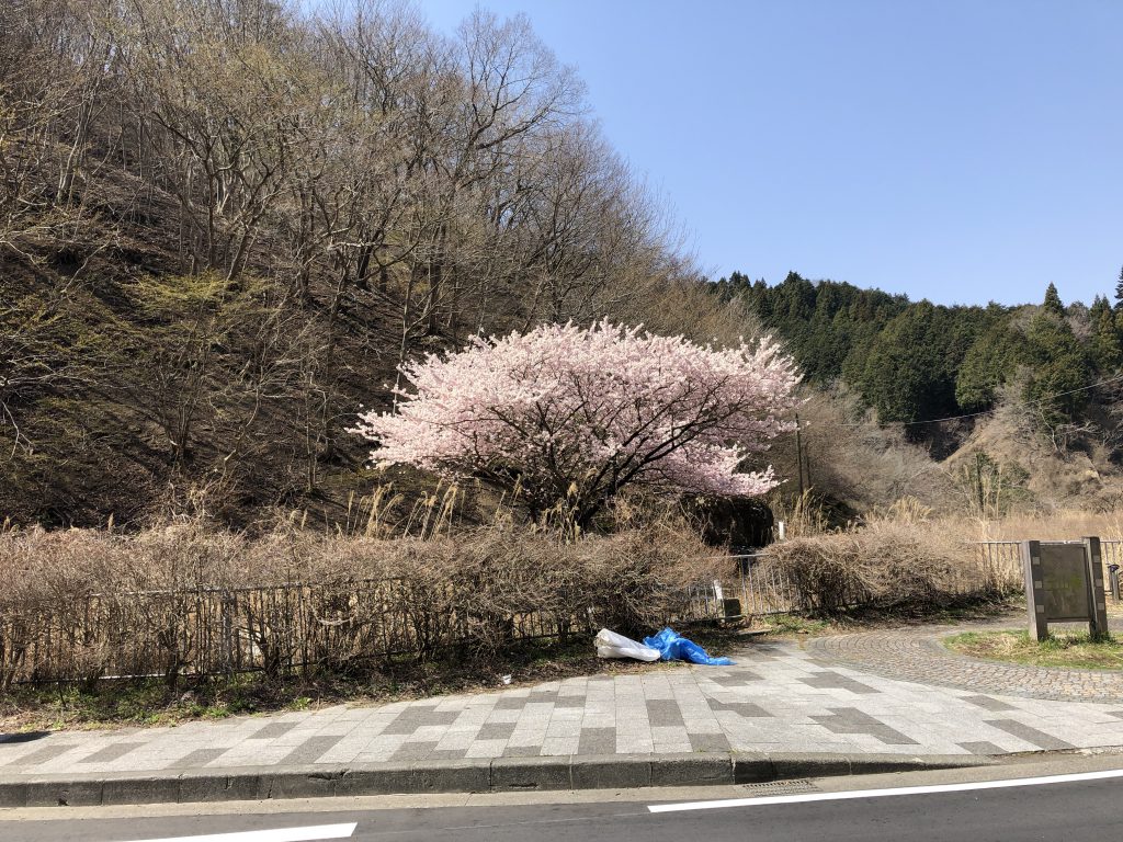 3月31日は定休日です