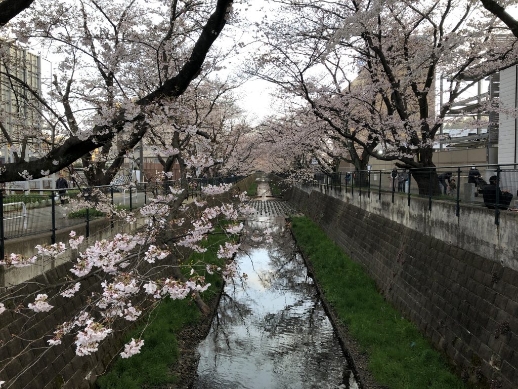 4月14日は定休日です