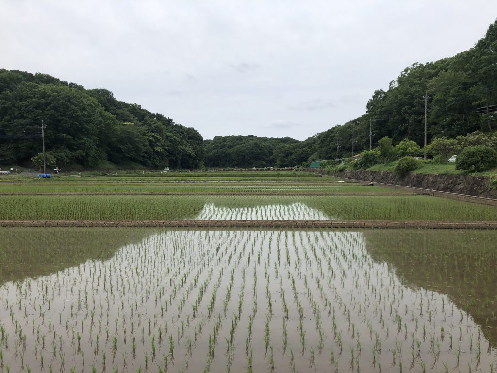 6月9日は定休日です