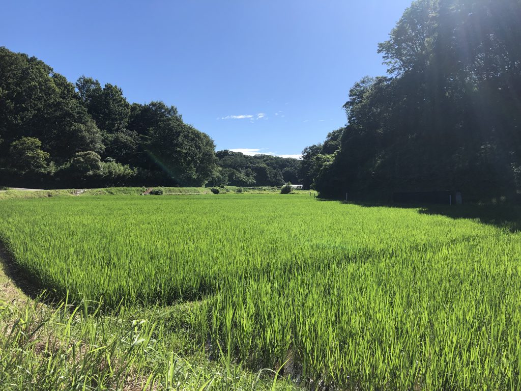 夏こそインターバルトレーニング