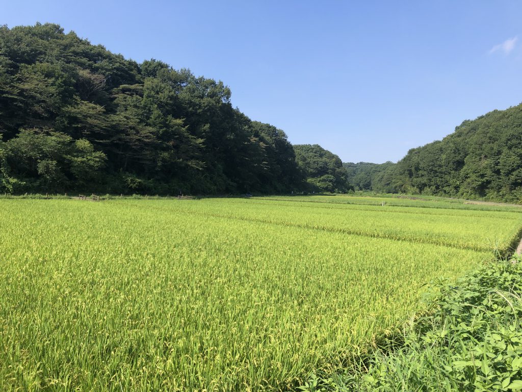 9月8日は定休日です