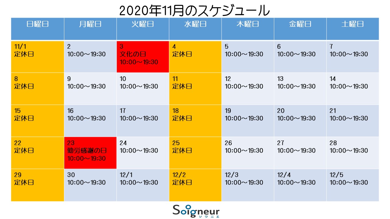 2020年11月のスケジュール