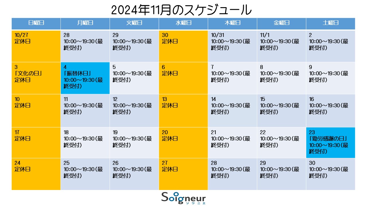 2024年11月のスケジュール